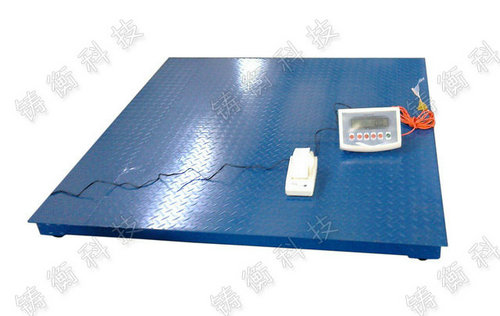 帶打印電子地秤 帶打印電子地秤